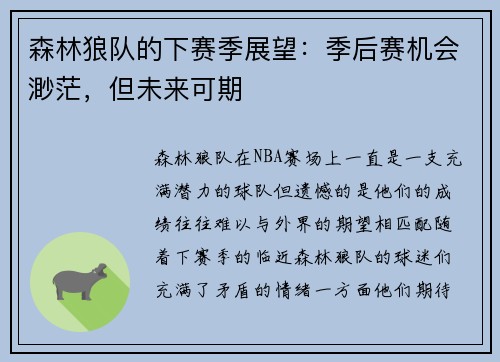 森林狼队的下赛季展望：季后赛机会渺茫，但未来可期